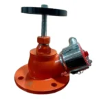 Fire Hydrant Valve